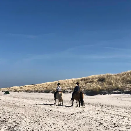 Apartamento Amare Dierhagen