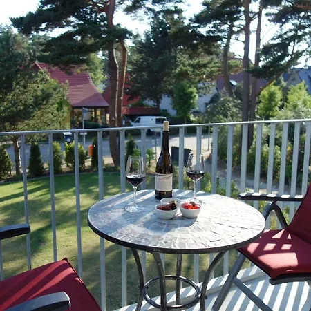 Amare オストゼーバート・ディアーハーゲン